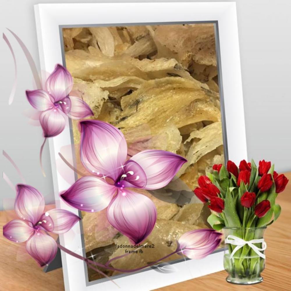 Meet your Posher, Kim